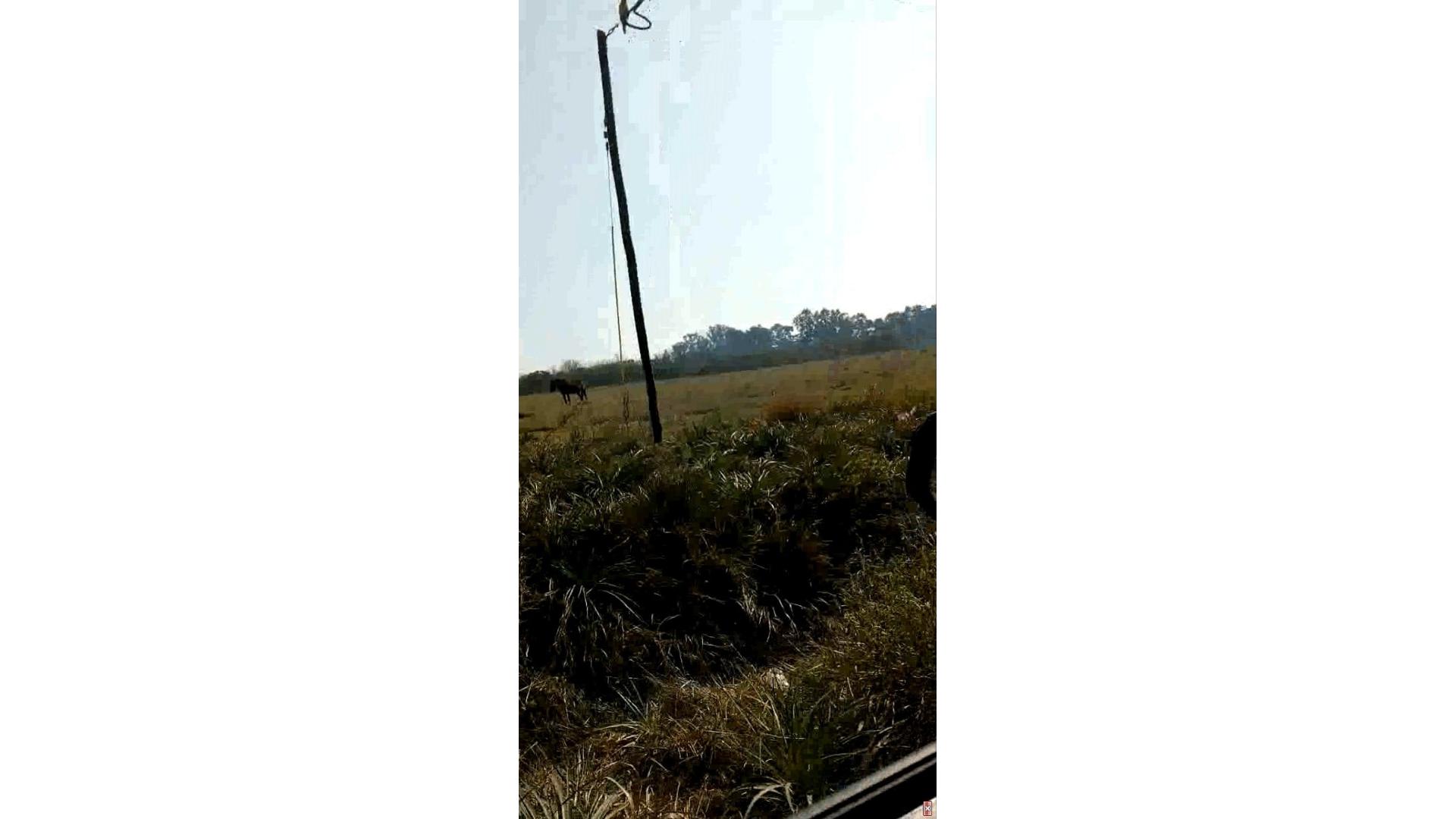Foto 4