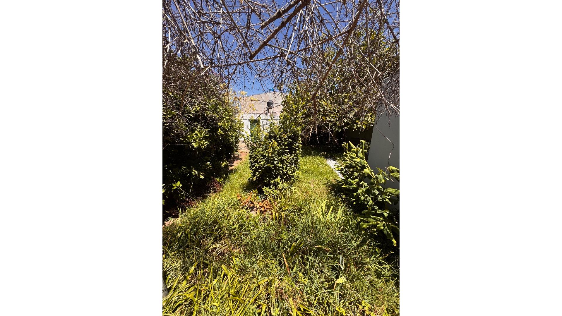 Foto 42