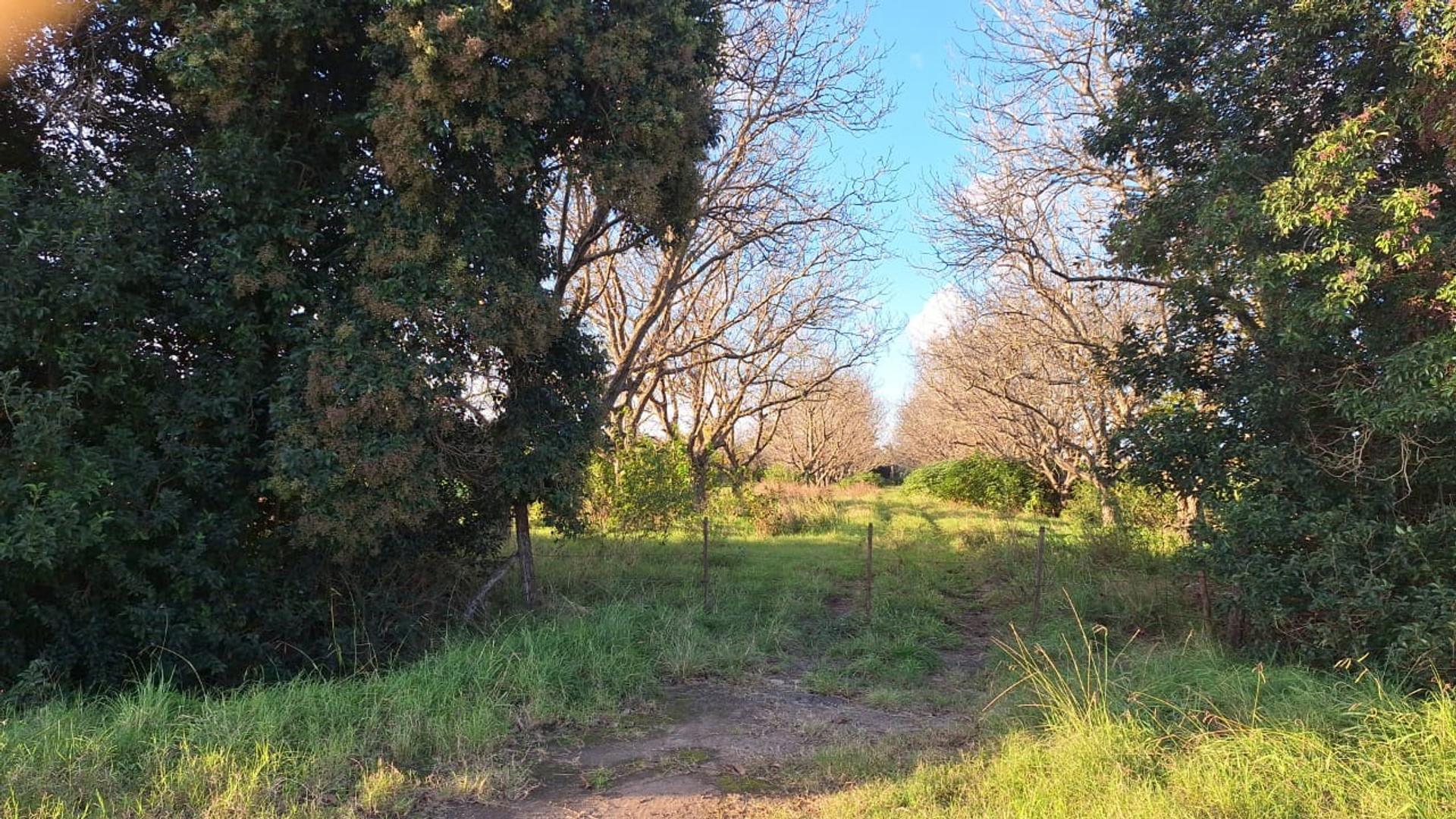 Ruta 9 - USD690.000 - Terreno - en Venta