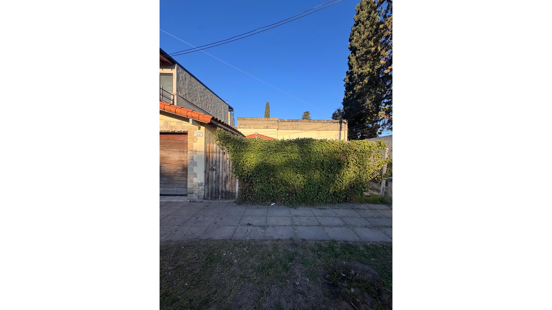 Foto 12