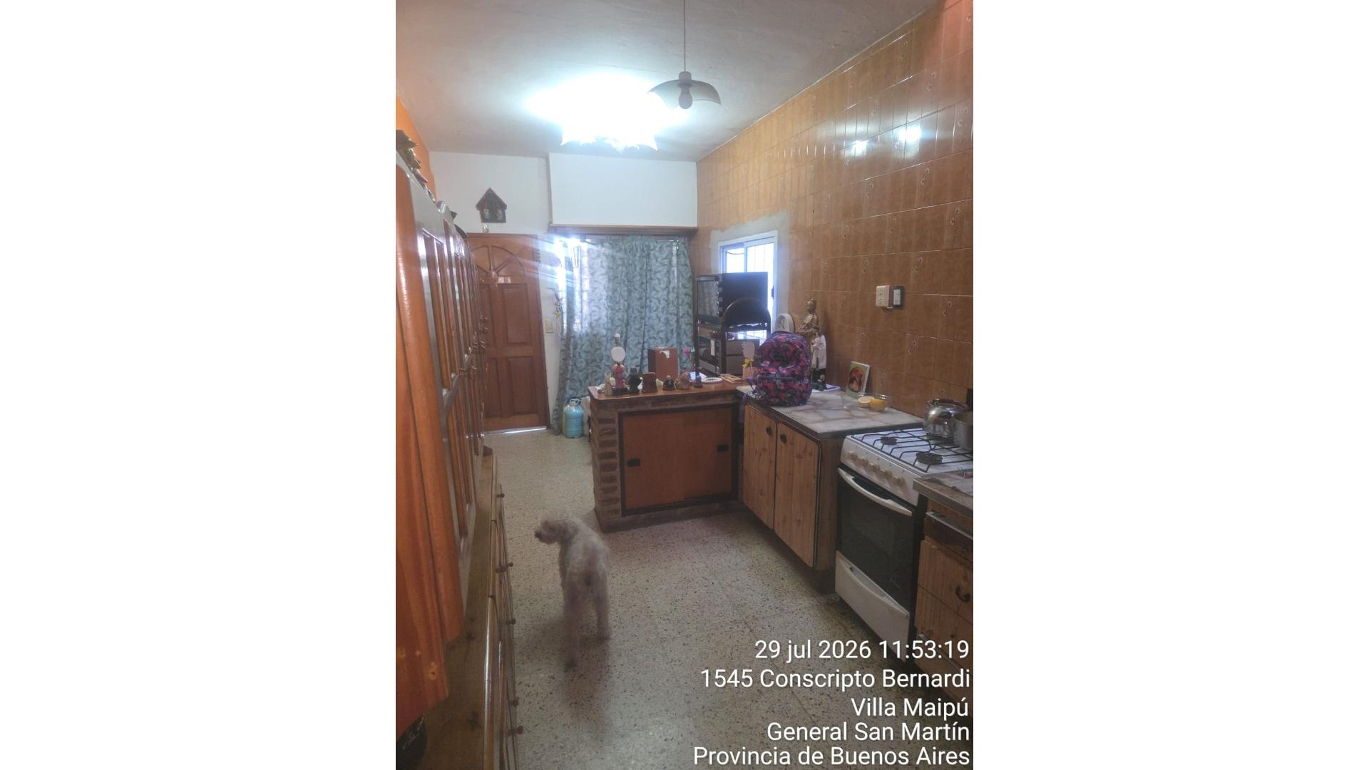 Foto 11