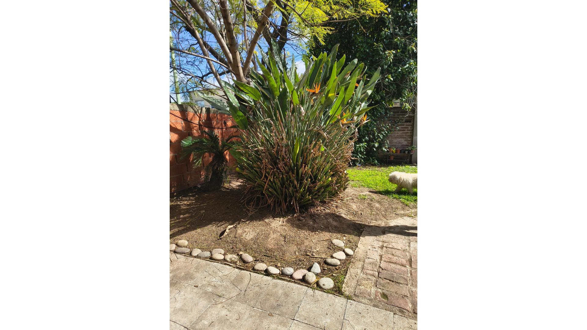 Foto 25