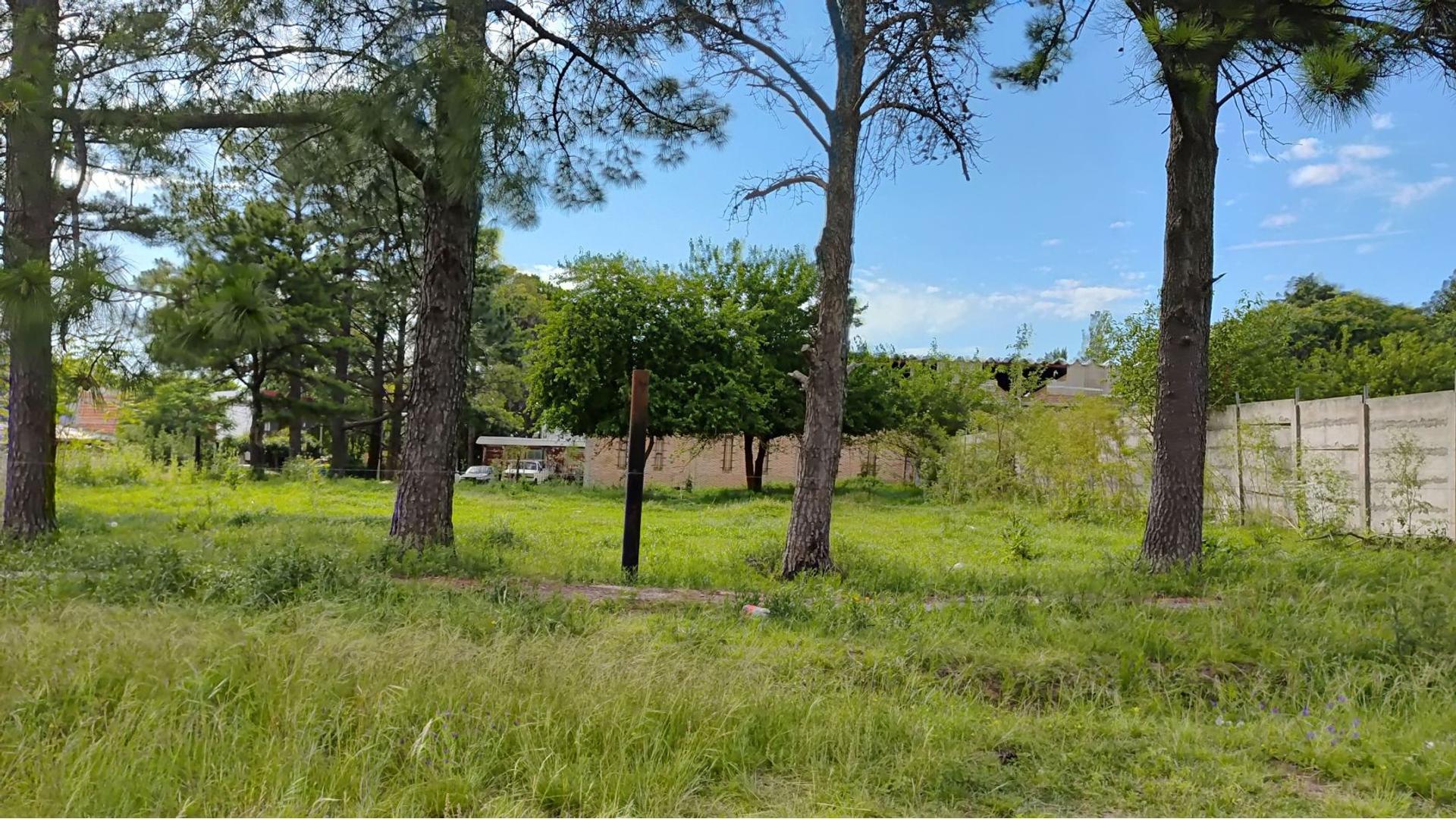 Calle 186 - USD25.000 - Terreno - en Venta