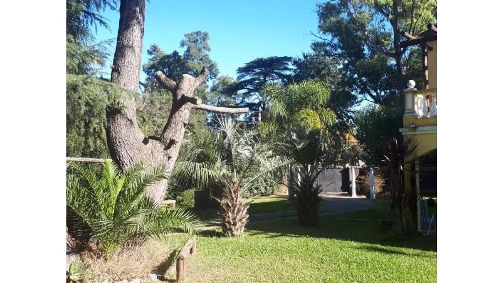 Foto 16