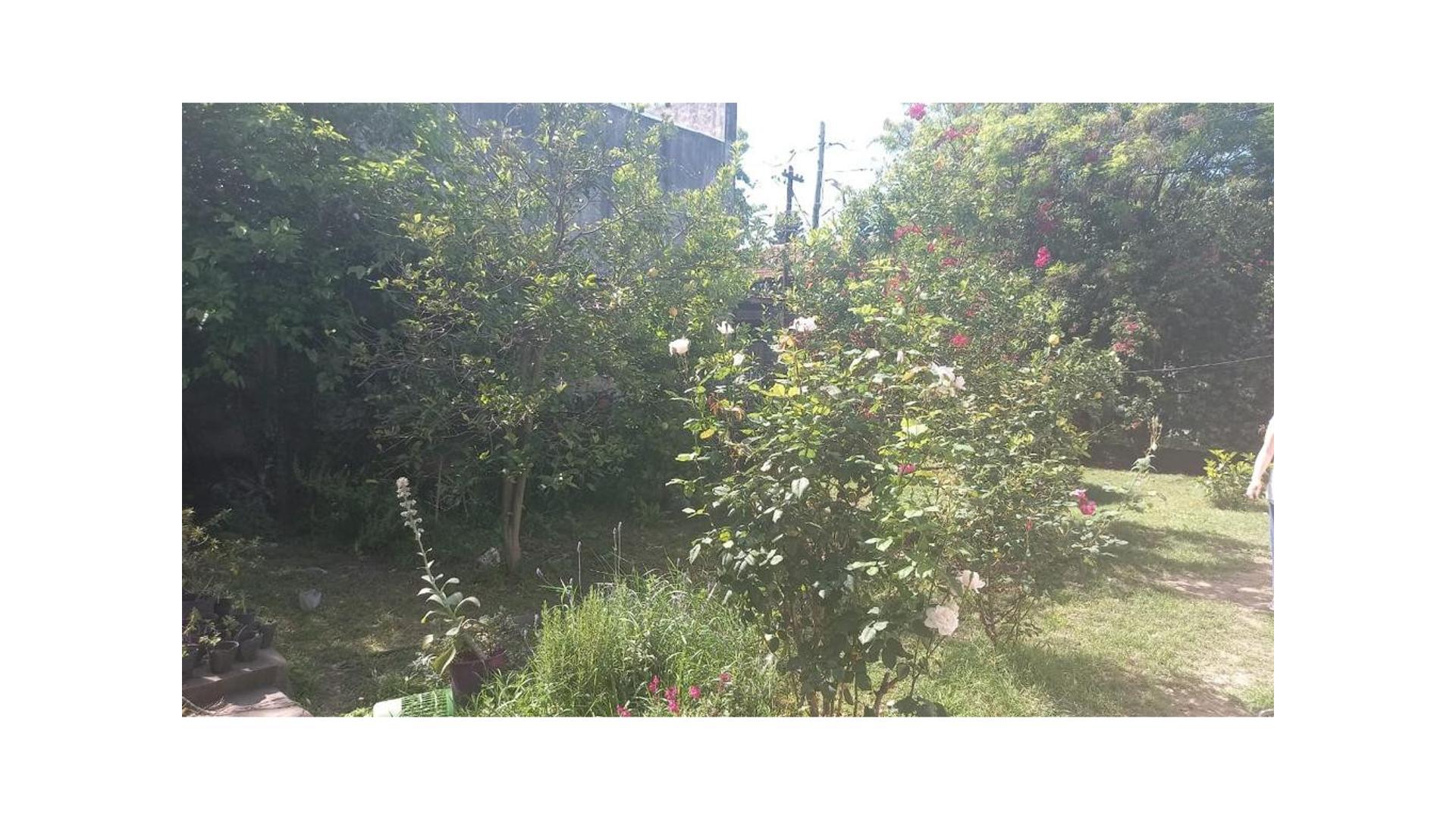 Foto 8