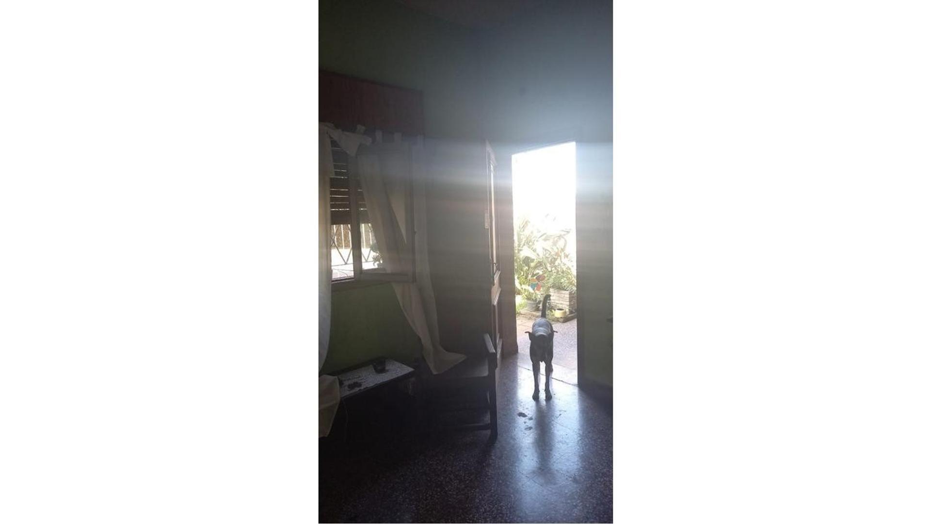 Foto 14
