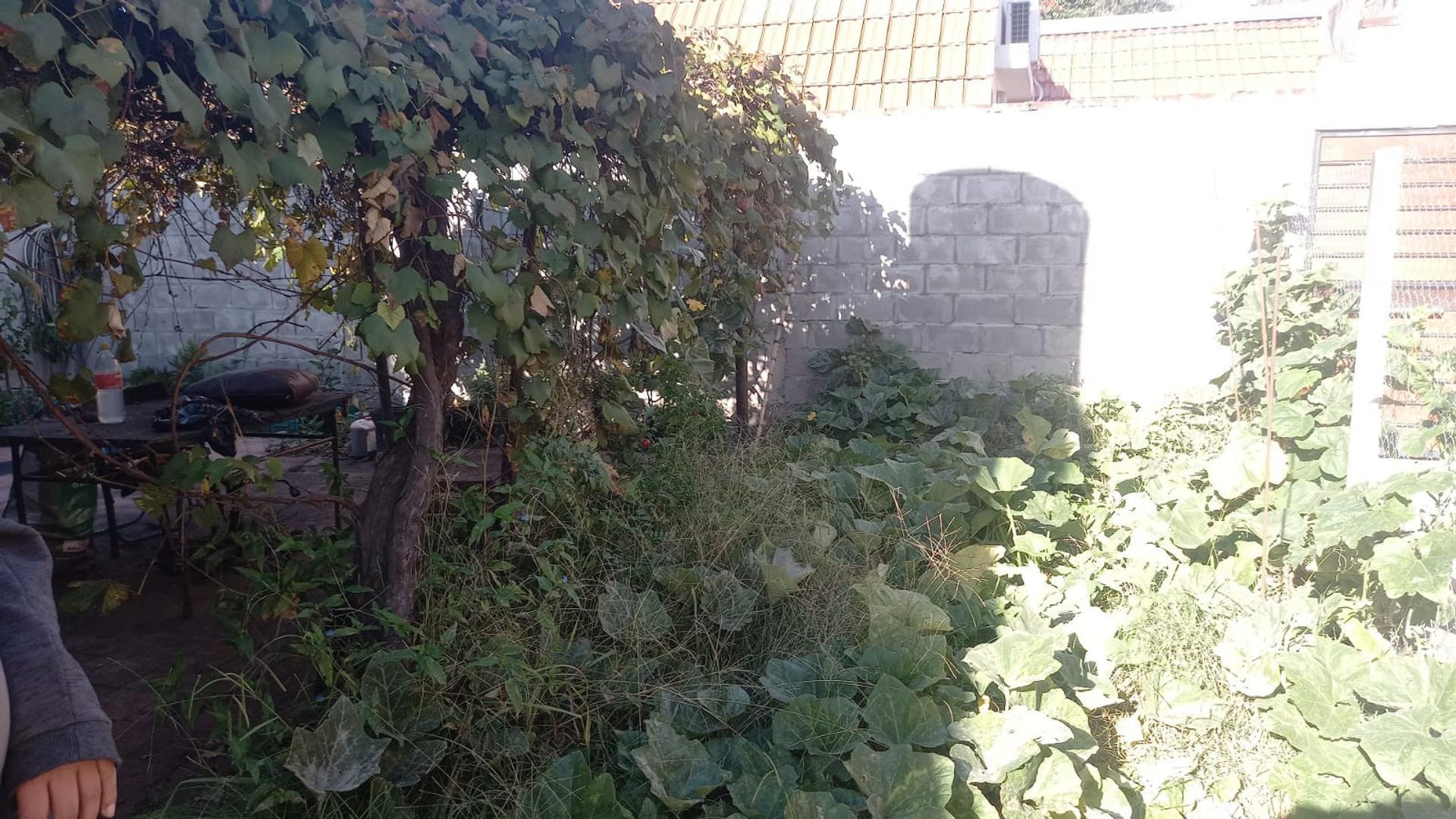 Foto 8